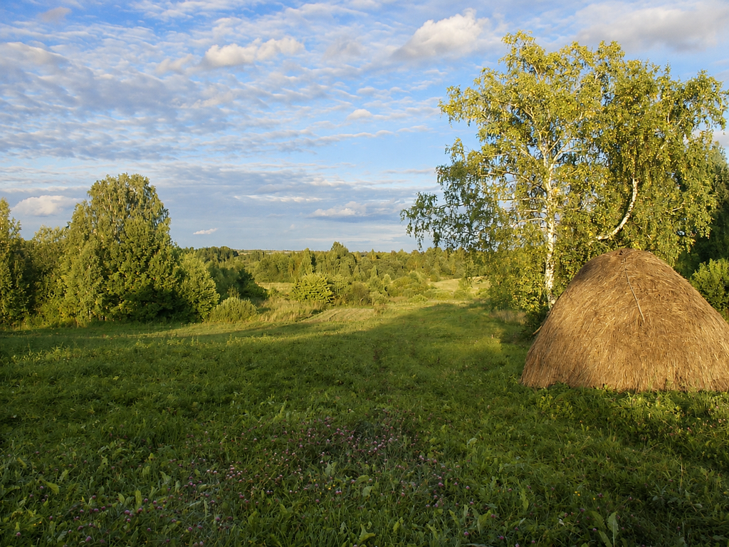 Лето в  районе глазами местных жителей